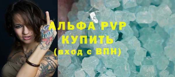 PSILOCYBIN Дмитриев