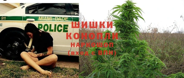 крисы Дмитровск