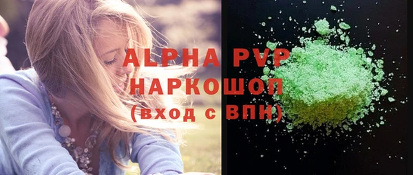 PSILOCYBIN Дмитриев
