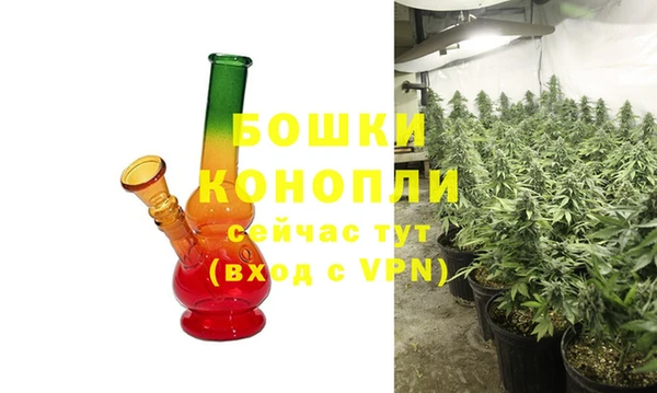 PSILOCYBIN Дмитриев