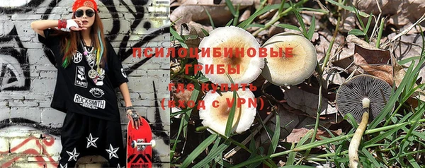 a pvp Гусиноозёрск